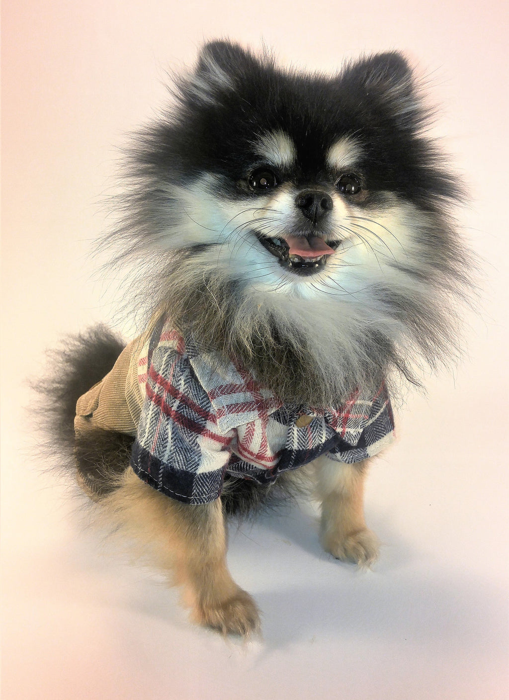 Tyson's first photo shoot!